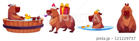 Capybara mascots set isolated on white background 121229737