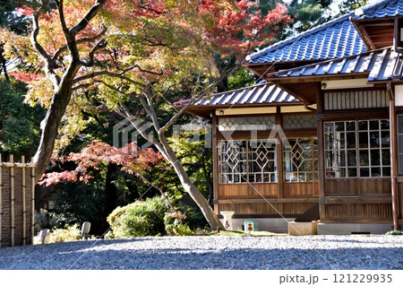 荻窪・荻外荘(近衞文麿旧宅)と紅葉 荻窪・荻外荘(近衞文麿旧宅)と紅葉 121229935