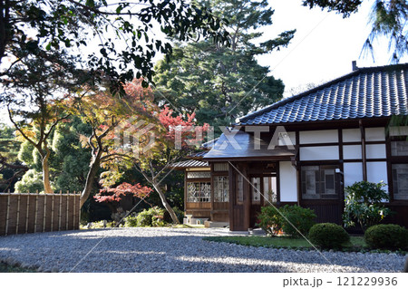 荻窪・荻外荘（近衞文麿旧宅）と紅葉 121229936