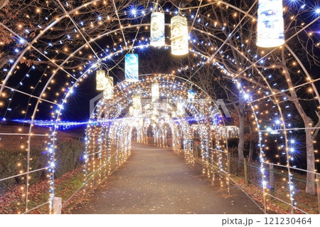 【香川県】冬の国営讃岐まんのう公園 (イルミネーション) 【香川県】冬の国営讃岐まんのう公園 (イルミネーション) 121230464