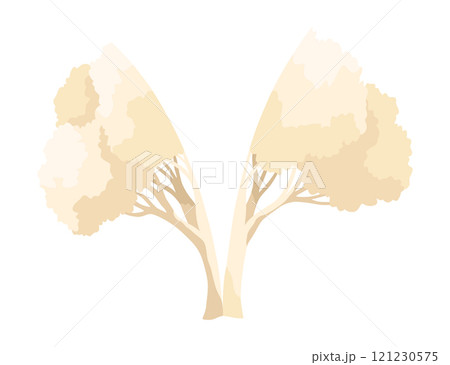 Cauliflower cabbage icon. Vegetable illustration for farm market or restaurant menu. Healthy, organic food design. Fresh vegetarian meal isolated on white background. Vector cartoon illustration 121230575