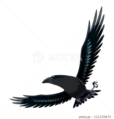 Raven. Silhouette Representing Bird Specie Captured in Moment of Flight and Resting Raven. Silhouette Representing Bird Specie Captured in Moment of Flight and Resting 121230673