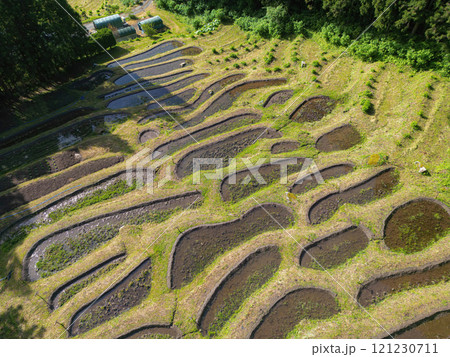 金山棚田 121230711