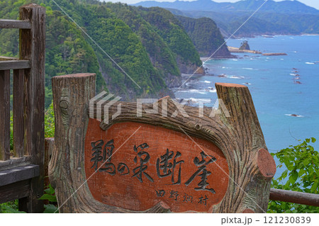 鵜の巣断崖 121230839