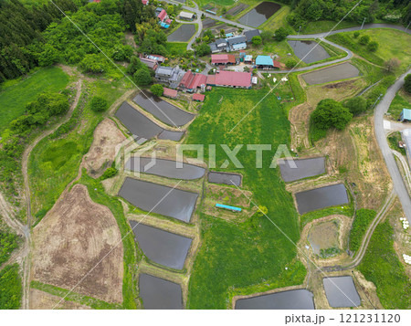 山吹の棚田 121231120