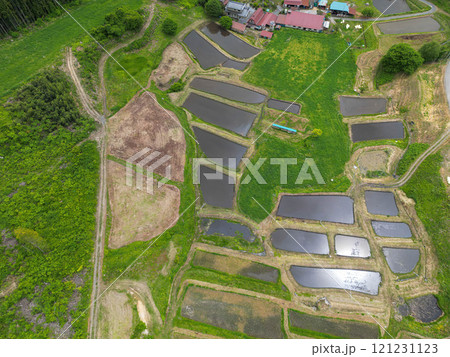 山吹の棚田 121231123