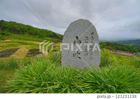 山吹の棚田 121231138