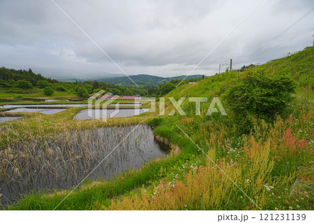 山吹の棚田 121231139