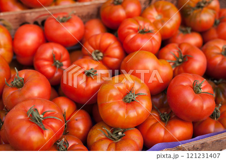Lots of tomatoes on a branch on counter 121231407