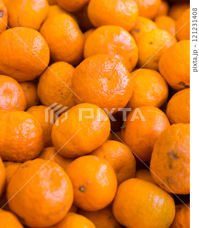 Juicy farm mandarins at market counter 121231408