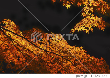 黒背景に妖艶な深紅から黄金色に色移りするモミジの流れるような枝葉(イラスト風色彩加工イメージ) 黒背景に妖艶な深紅から黄金色に色移りするモミジの流れるような枝葉(イラスト風色彩加工イメージ) 121231637