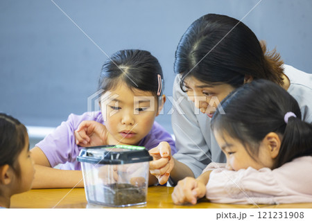 虫かごを観察する小学生   虫かごを観察する小学生   121231908