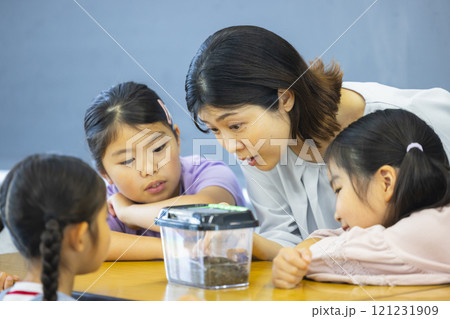 虫かごを観察する小学生　　 121231909