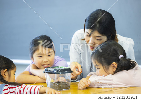 虫かごを観察する小学生 虫かごを観察する小学生 121231911