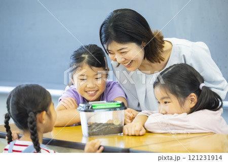 虫かごを観察する小学生 虫かごを観察する小学生 121231914