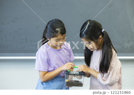 虫かごを観察する小学生 虫かごを観察する小学生 121231960