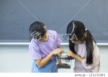 虫かごを観察する小学生 虫かごを観察する小学生 121231961