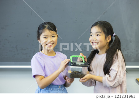 虫かごを観察する小学生　　　 121231963