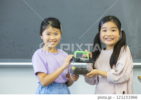 虫かごを観察する小学生 虫かごを観察する小学生 121231966