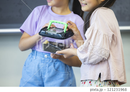 虫かごを観察する小学生　　　 121231968