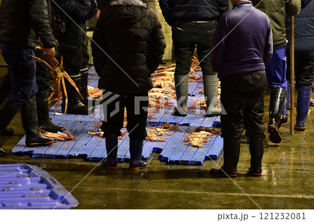 富山のズワイガニ 富山のズワイガニ 121232081