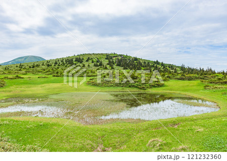 【日本百名山】八甲田山 田茂萢(たもやち)湿原 夏山シーズン 【日本百名山】八甲田山 田茂萢(たもやち)湿原 夏山シーズン 121232360