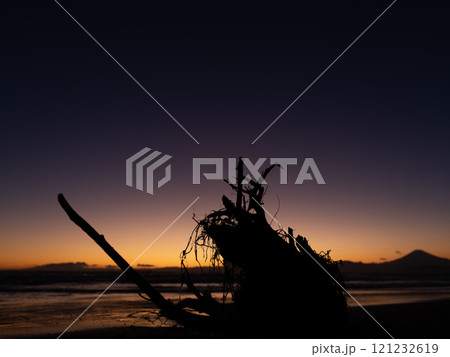 湘南、夕陽の刺す流木の風景 121232619