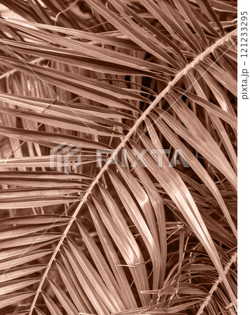 Palm leaves background. Demonstrating color of 2025 year 121233295