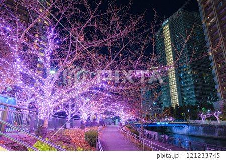 東京都品川区 目黒川のイルミネーション 五反田ふれあい水辺広場 東京都品川区 目黒川のイルミネーション 五反田ふれあい水辺広場 121233745