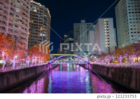 東京都品川区 目黒川のイルミネーション 121233753