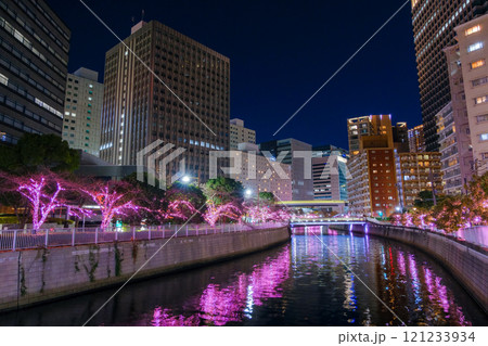 東京都品川区 目黒川のイルミネーション 東京都品川区 目黒川のイルミネーション 121233934