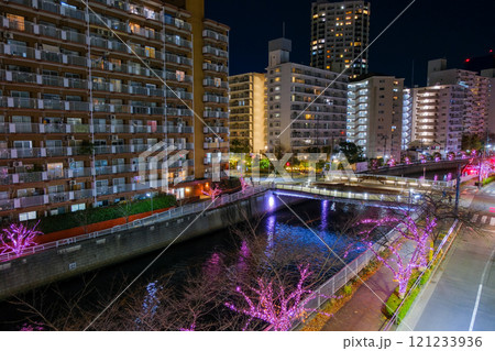 東京都品川区 目黒川のイルミネーション 121233936