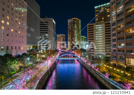 東京都品川区 目黒川のイルミネーション 東京都品川区 目黒川のイルミネーション 121233941