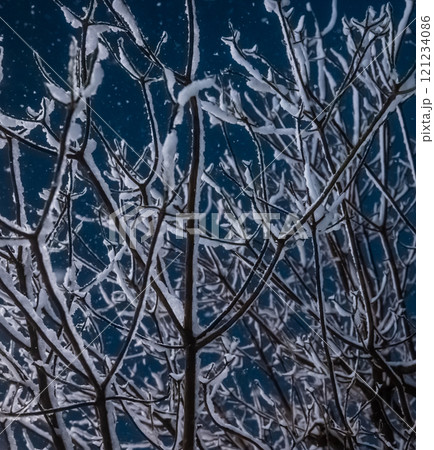寒い冬のイメージ 寒い冬のイメージ 121234086