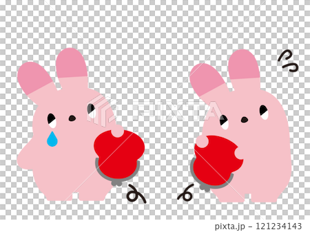 Rabbit with an empty wallet_no expression 121234143