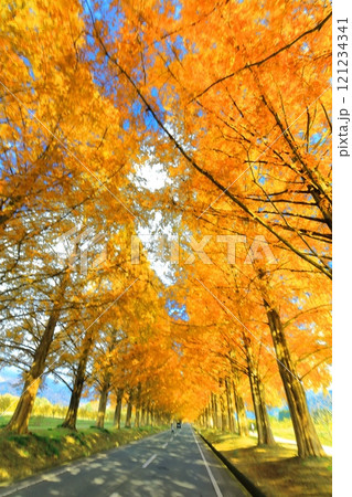 【滋賀県】マキノピックランドのメタセコイア並木の紅葉 【滋賀県】マキノピックランドのメタセコイア並木の紅葉 121234341