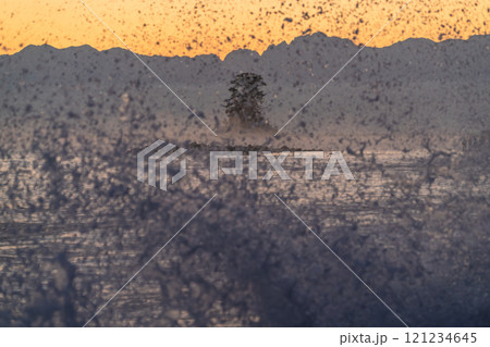 《富山県》雨晴海岸の夜明け・富山の絶景 121234645