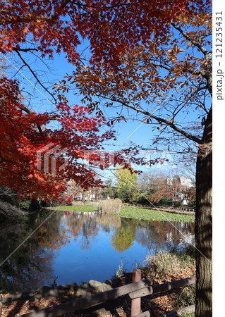 紅葉の菊名池公園（横浜市港北区） 121235431