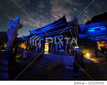 鎌倉　長谷寺　ライトアップ 121235522