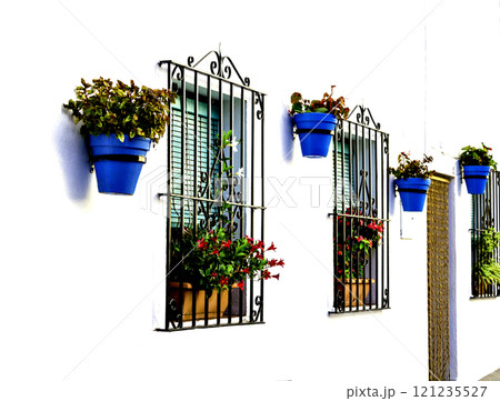Typical facade of the houses of Mijas, Malaga, decorated with flowers in blue pots and white facades 121235527