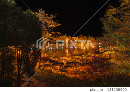 茶臼山高原の色付き始めの紅葉のライトアップと水面に映る樹木の矢筈池(愛知県) 121236990