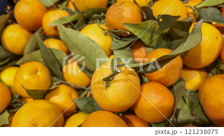 Tangerines in a box on a store counter. Green leaves nearby Tangerines in a box on a store counter. Green leaves nearby 121238075