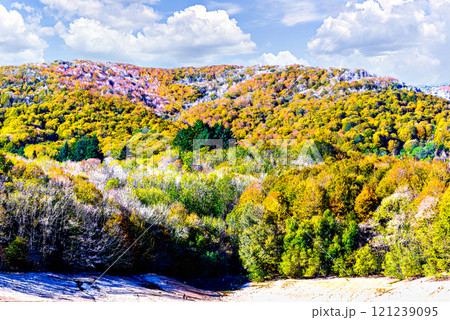 Colorful trees and leaves in autumn in the Montseny Natural Park in Barcelona, Spain Colorful trees and leaves in autumn in the Montseny Natural Park in Barcelona, Spain 121239095