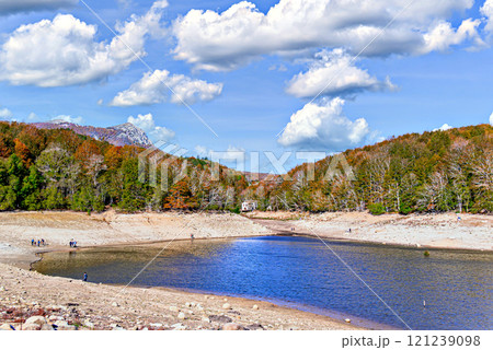 Colorful trees and leaves in autumn in the Montseny Natural Park in Barcelona, Spain 121239098
