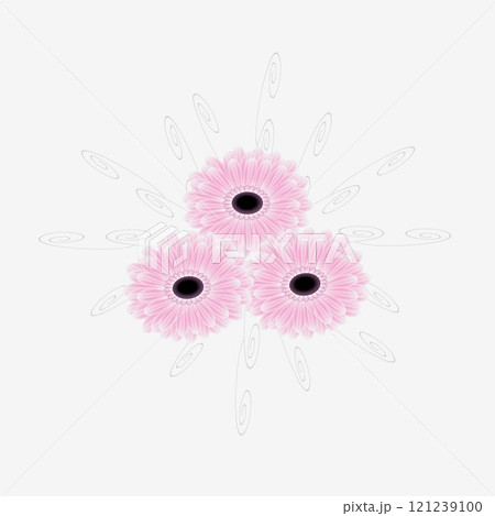 Three gerberas, design element. Three gerberas, design element. 121239100
