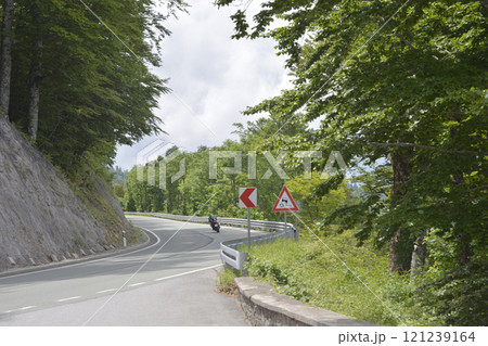 Road in Gorski Kotar 121239164