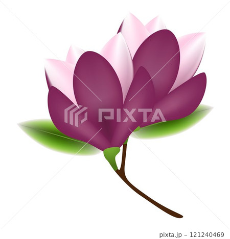 A branch of magnolia. 121240469