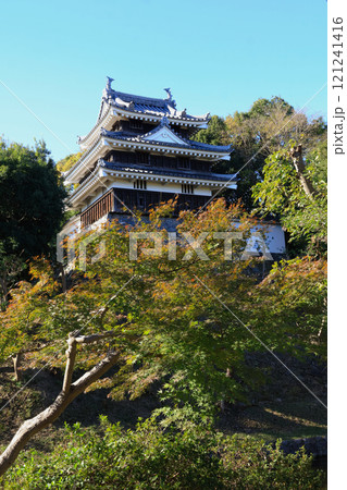 西尾市歴史公園、二の丸丑寅櫓の紅葉 西尾市歴史公園、二の丸丑寅櫓の紅葉 121241416