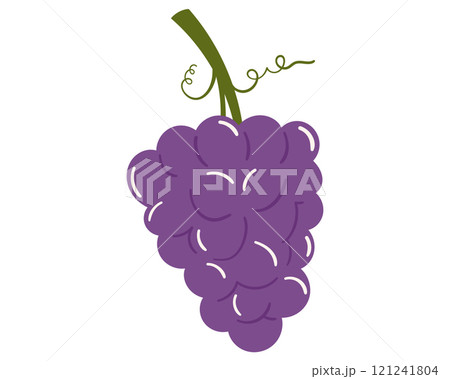 Fruit grape in cartoon hand drawn simple style. Editable variable color. Fruit grape in cartoon hand drawn simple style. Editable variable color. 121241804