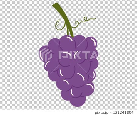 Fruit grape in cartoon hand drawn simple style. Editable variable color. Fruit grape in cartoon hand drawn simple style. Editable variable color. 121241804
